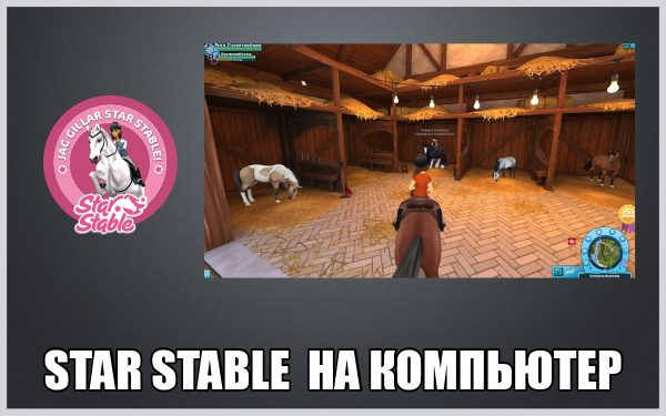 Обзор игры Star Stable на русском языке